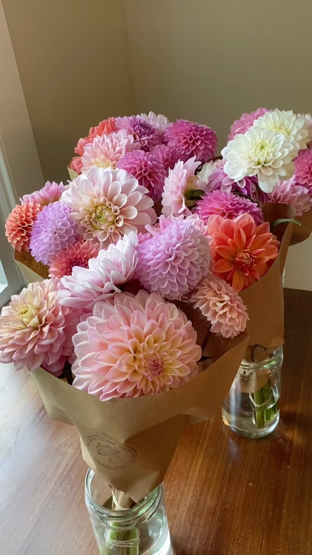 Dahlias